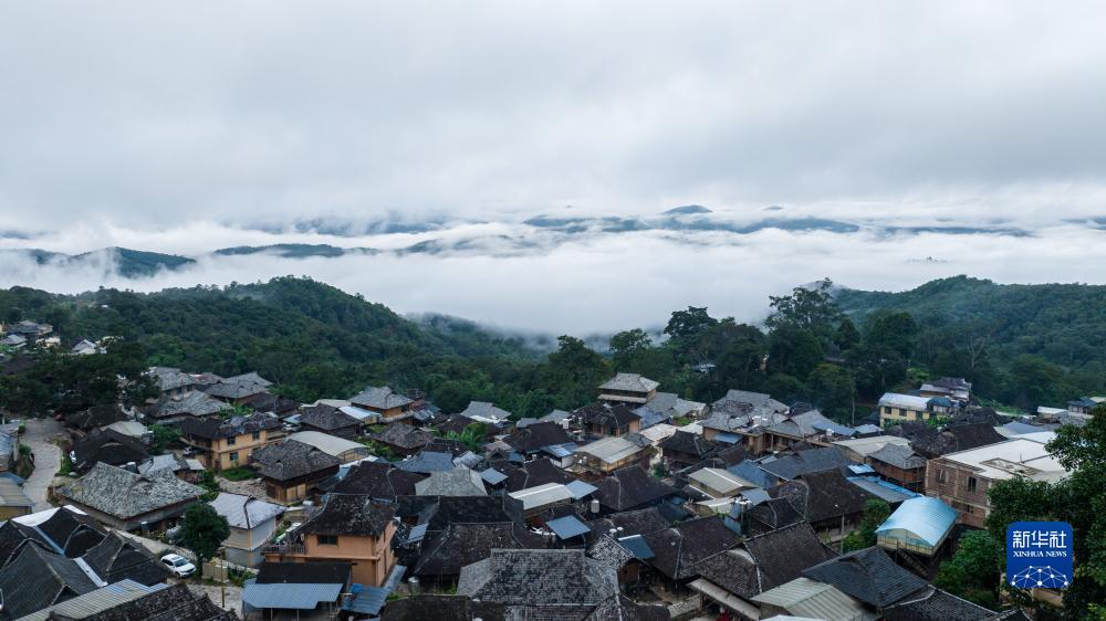集结号官方充值